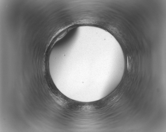 X0000051910204200507222117