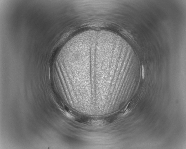 X0000051910205200507222117