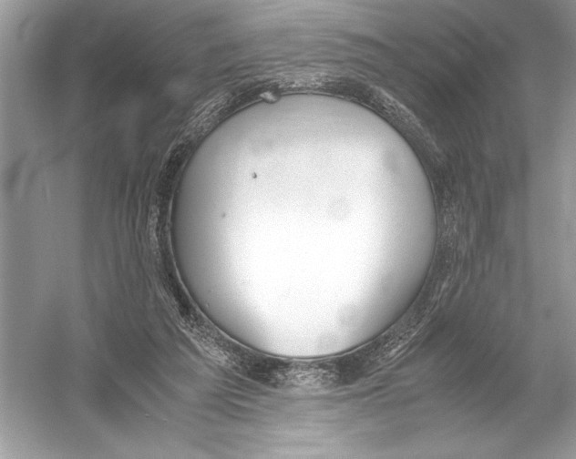 X0000051910209200507222117