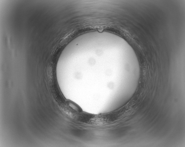 X0000051910211200507222117