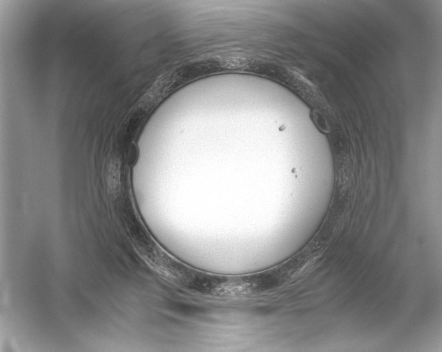 X0000051910213200507222117