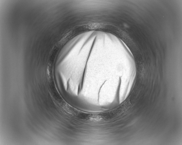 X0000051910214200507222117