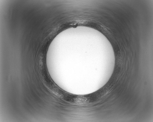 X0000051910215200507222117