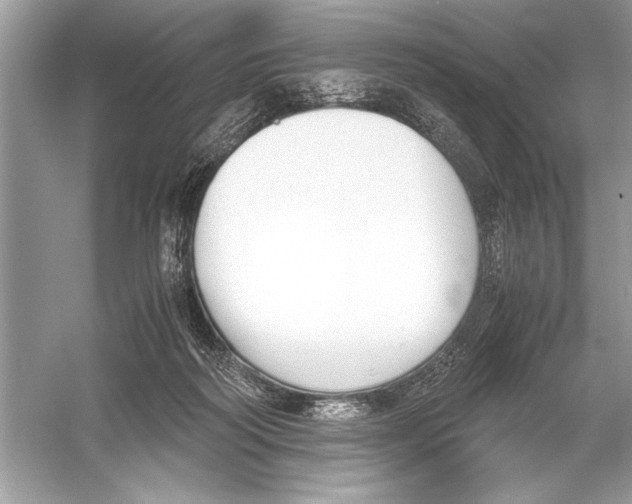 X0000051910218200507222117