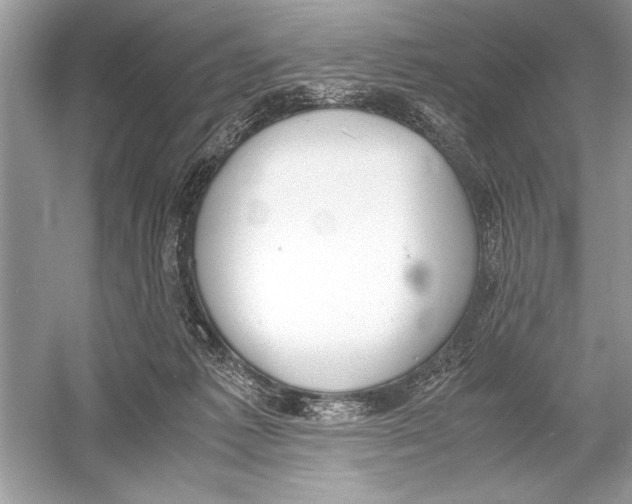 X0000051910221200507222117