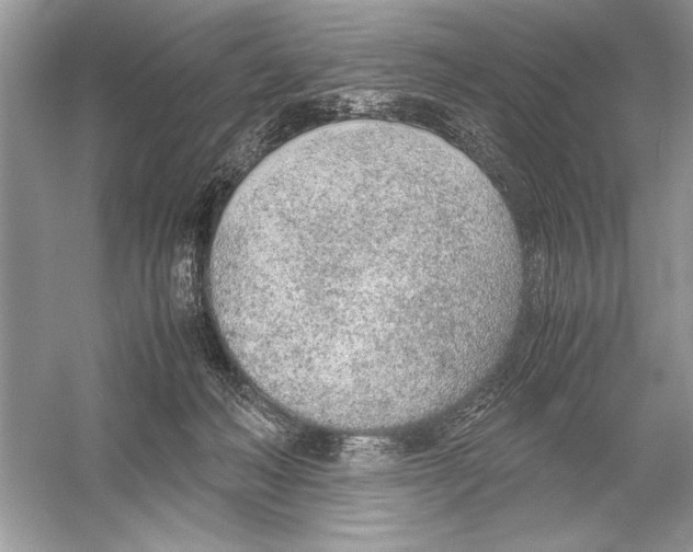 X0000051910222200507222117