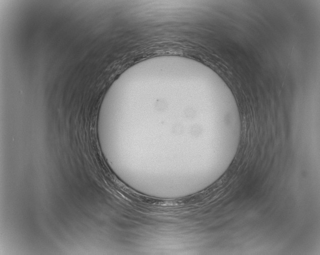 X0000051910223200507222116