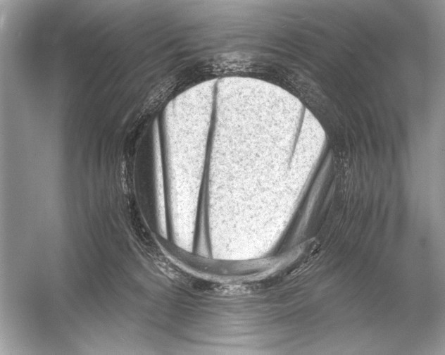 X0000051910224200507222116