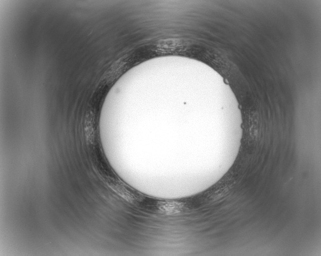 X0000051910226200507222116