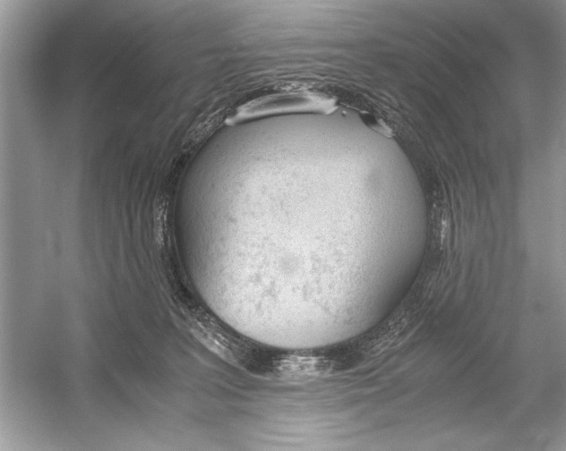 X0000051910227200507222116