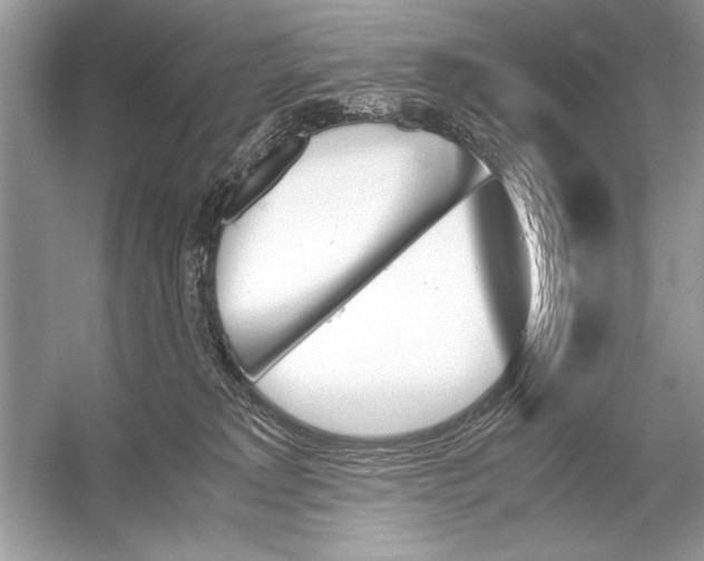 X0000051910229200507222116