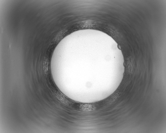 X0000051910230200507222116