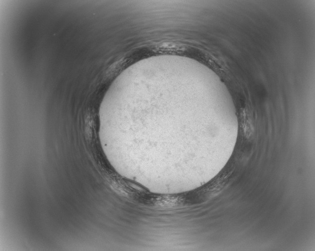 X0000051910235200507222116