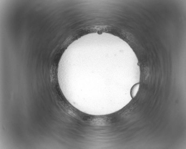 X0000051910236200507222116