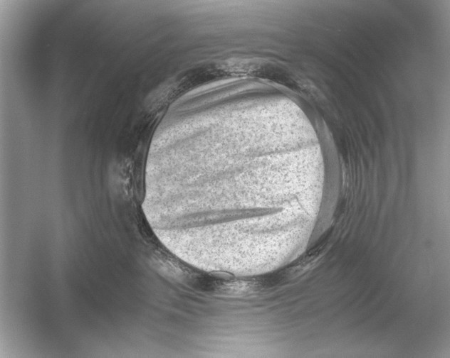 X0000051910237200507222116