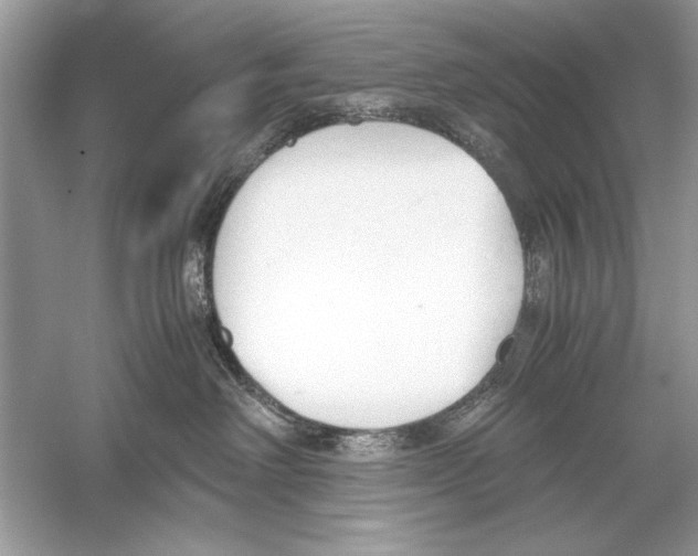 X0000051910238200507222116