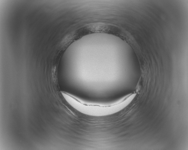 X0000051910239200507222116