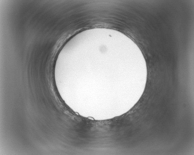 X0000051910241200507222115