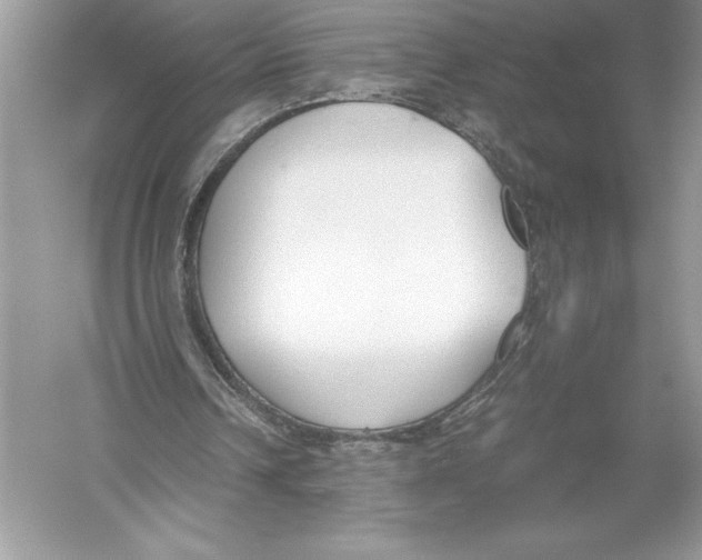 X0000051910242200507222115