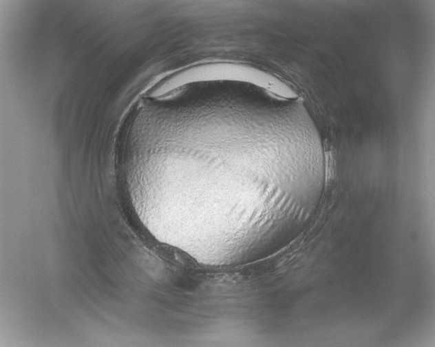 X0000051910243200507222115