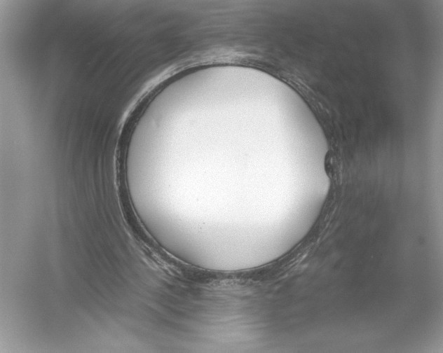 X0000051910244200507222115