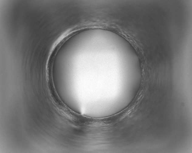 X0000051910246200507222115