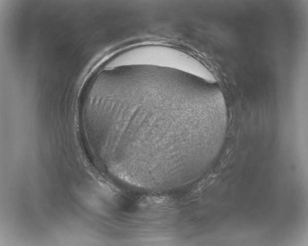 X0000051910247200507222115