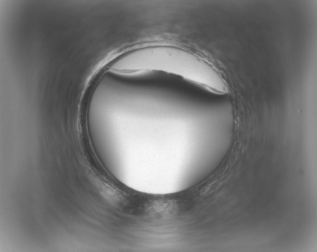 X0000051910248200507222115