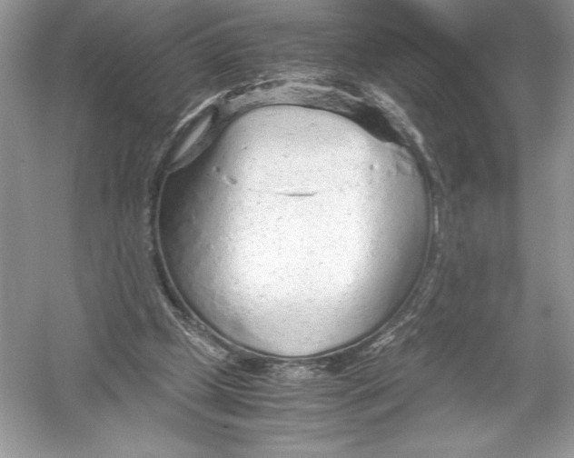 X0000051910249200507222116