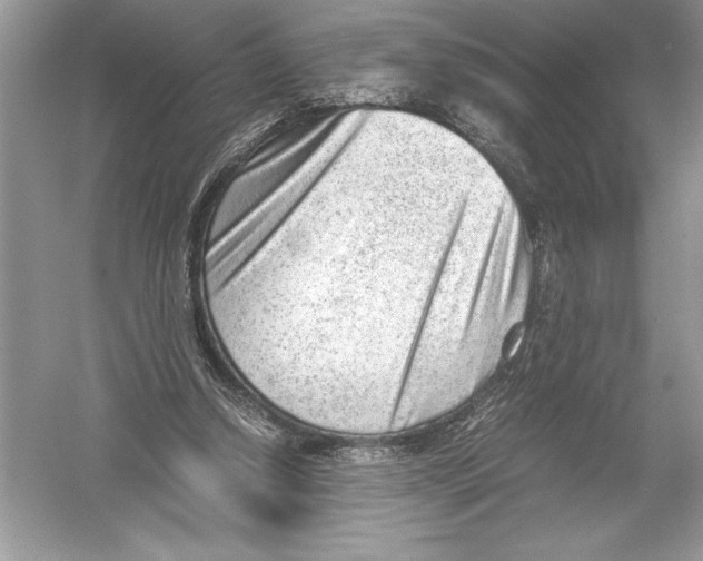 X0000051910250200507222116