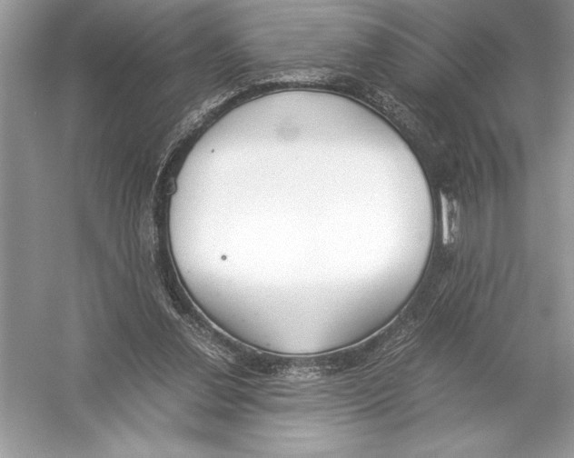 X0000051910252200507222116