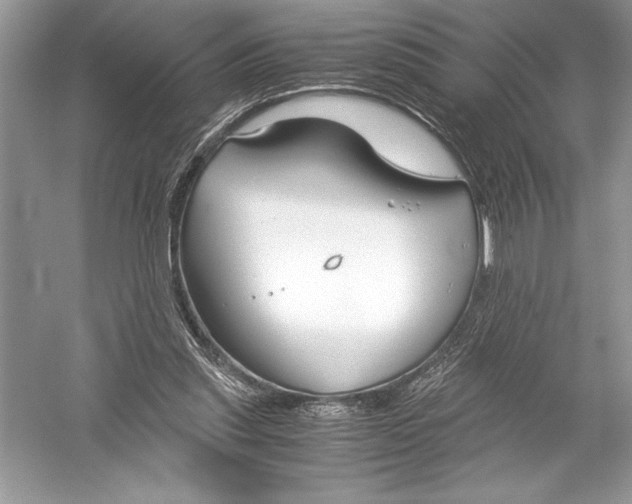 X0000051910253200507222116