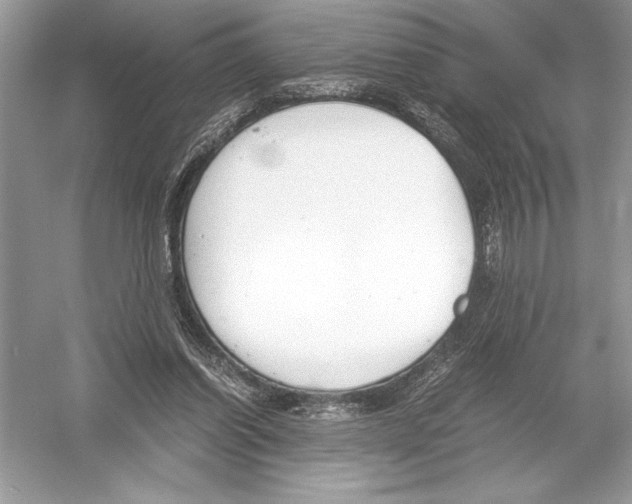 X0000051910254200507222116