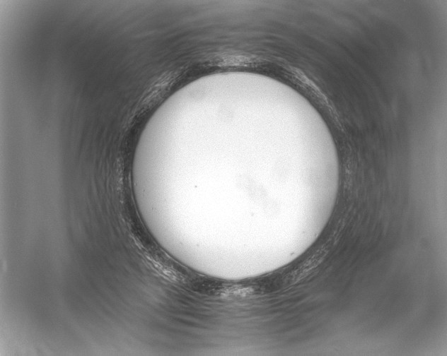 X0000051910257200507222116