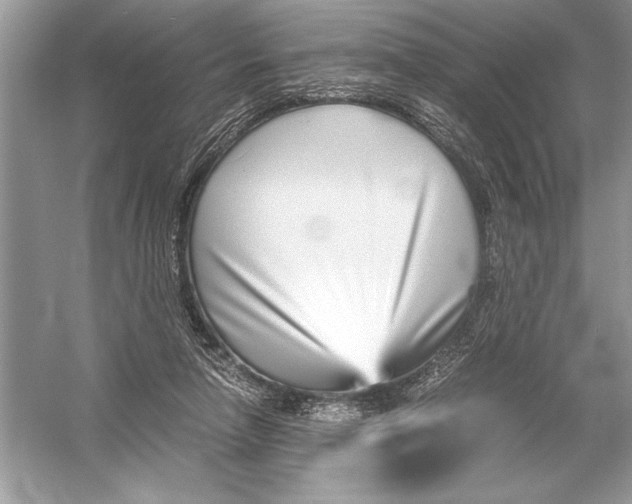 X0000051910258200507222116