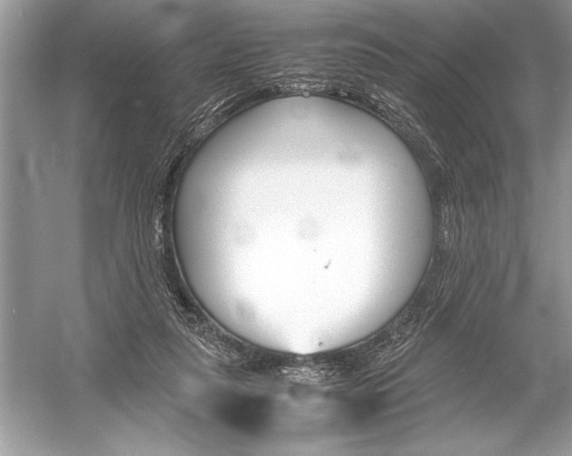 X0000051910259200507222116