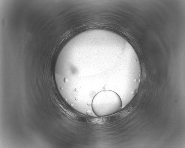 X0000051910261200507222116