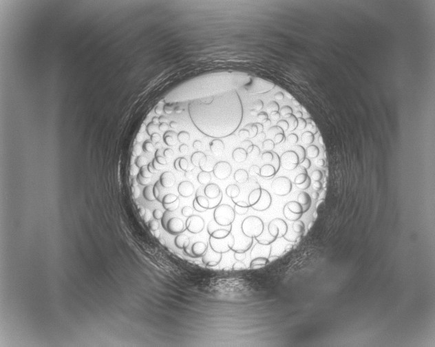 X0000051910262200507222116