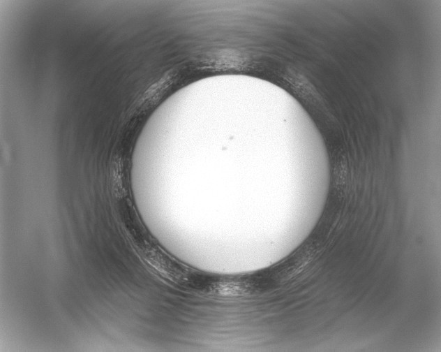 X0000051910264200507222116