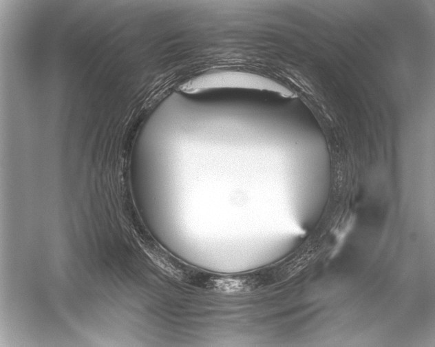 X0000051910265200507222116