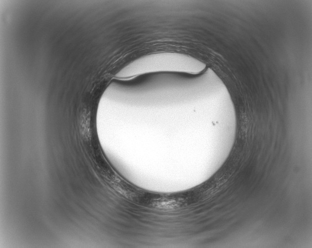 X0000051910267200507222116