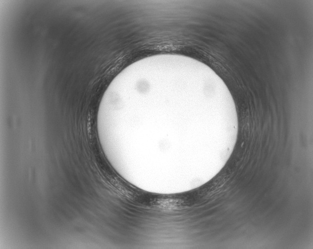 X0000051910268200507222116