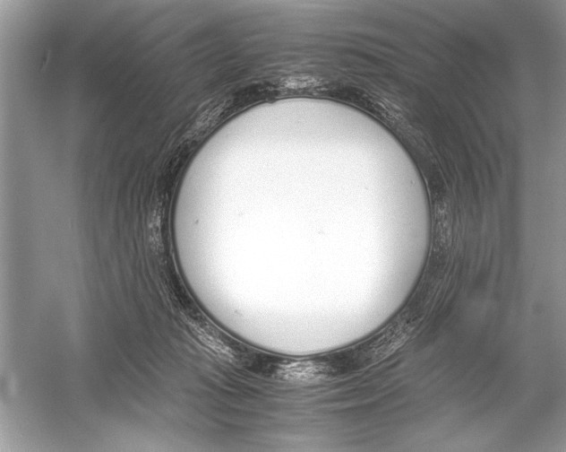 X0000051910269200507222116