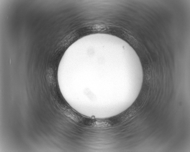 X0000051910270200507222116