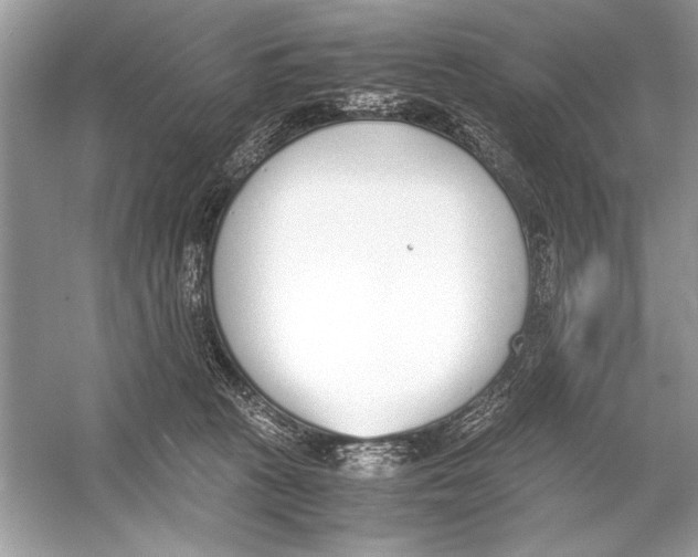 X0000051910273200507222116