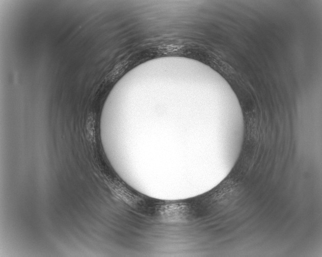 X0000051910274200507222116