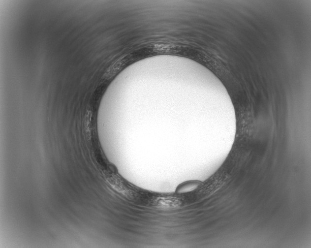 X0000051910275200507222116