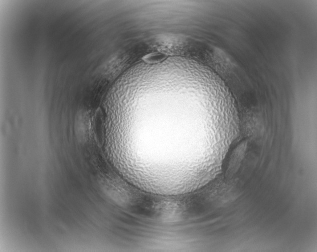 X0000051910276200507222116