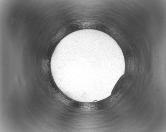 X0000051910278200507222116