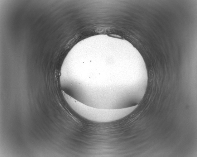 X0000051910280200507222116